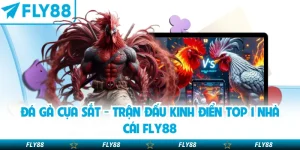 Đá gà cựa sắt