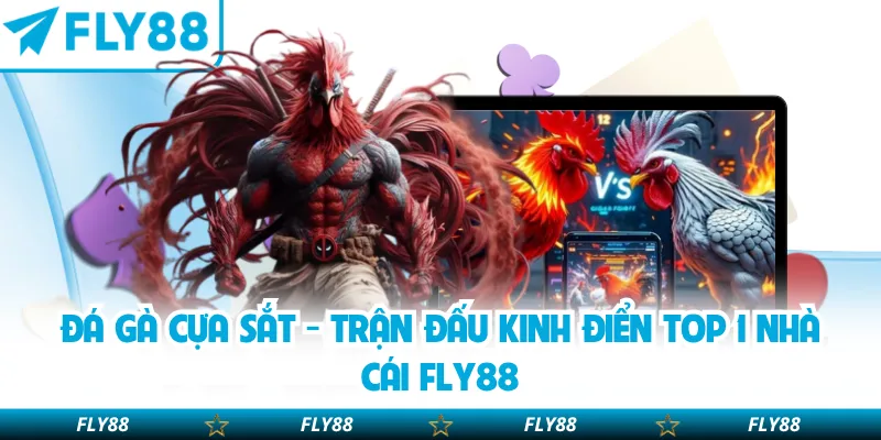 Đá gà cựa sắt