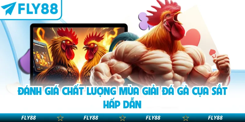 Đánh giá chất lượng mùa giải đá gà cựa sắt hấp dẫn