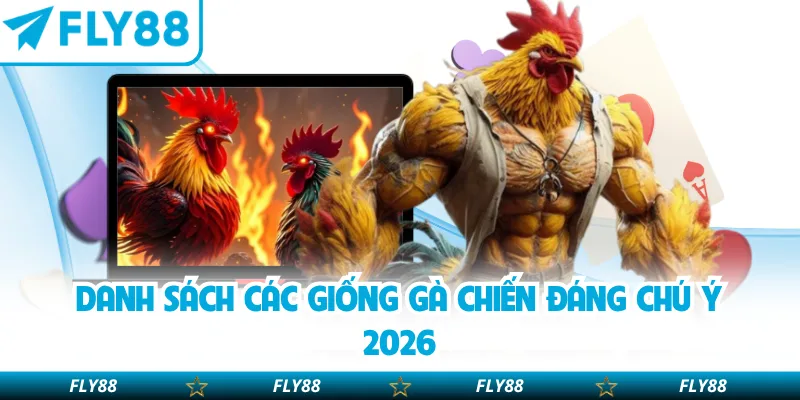 Danh sách các giống gà chiến đáng chú ý