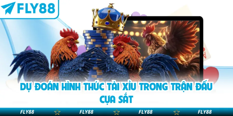 Dự đoán hình thức tài xỉu trong trận đấu cựa sắt