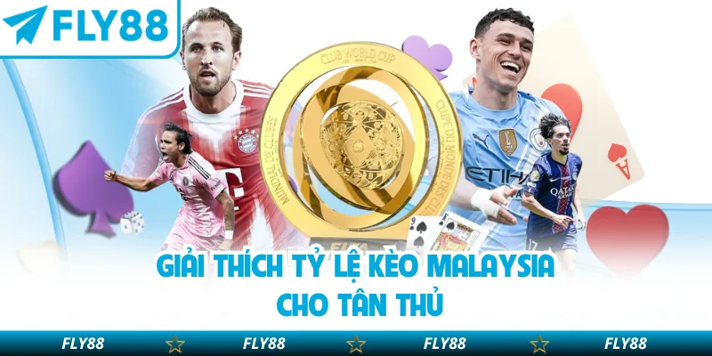 Giải thích tỷ lệ kèo Malaysia cho tân thủ