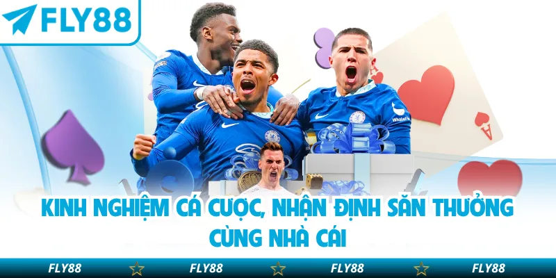 Kinh nghiệm cá cược, nhận định săn thưởng cùng nhà cái