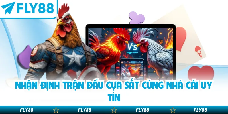 Nhận định trận đấu cựa sắt cùng nhà cái uy tín