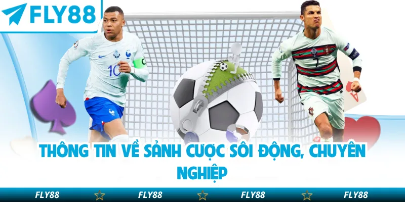 Thông tin về sảnh cược sôi động, chuyên nghiệp