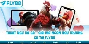 Thuật ngữ đá gà