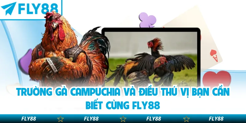 trường gà Campuchia